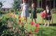 thumb_Dorothy Mary Ann Wolgemuth Margaret Hess.jpg
